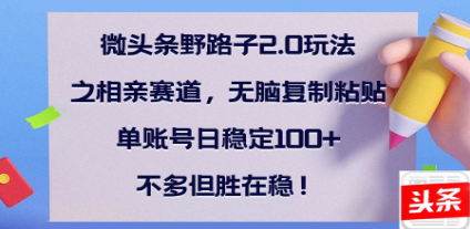 全网首发微头条野路子2.0玩法之相亲赛道，无脑搬砖复制粘贴，单账号日稳定300+保姆级教程副业基地_极客搞钱_中创网_福缘网_冒泡网_资源整合平台副业基地