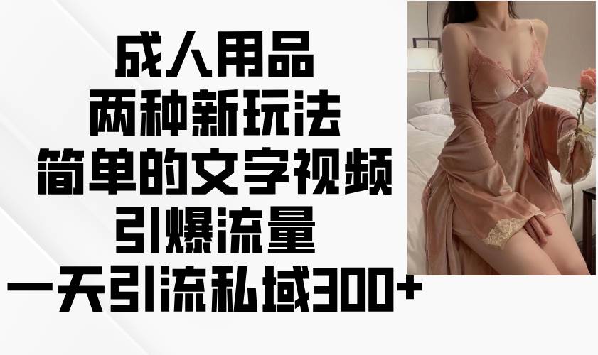 成人用品两种新玩法，简单的文字视频引爆流量，一天引流私域300+副业基地_极客搞钱_中创网_福缘网_冒泡网_资源整合平台副业基地