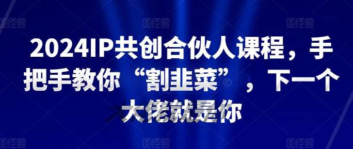 2024IP共创合伙人课程，手把手教你“割韭菜”，下一个大佬就是你副业基地_极客搞钱_中创网_福缘网_冒泡网_资源整合平台副业基地