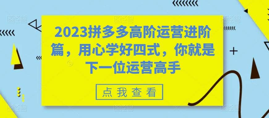 2023拼多多高阶运营进阶篇，用心学好四式，你就是下一位运营高手副业基地_极客搞钱_中创网_福缘网_冒泡网_资源整合平台副业基地