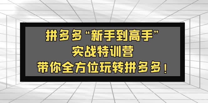 拼多多“新手到高手”实战特训营：带你全方位玩转拼多多副业基地_极客搞钱_中创网_福缘网_冒泡网_资源整合平台副业基地