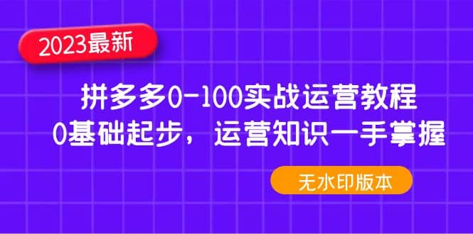 2023拼多多0-100实战运营教程，0基础起步，运营知识一手掌握（无水印）副业基地_极客搞钱_中创网_福缘网_冒泡网_资源整合平台副业基地