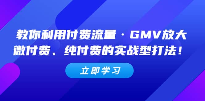 教你利用付费流量·GMV放大，微付费、纯付费的实战型打法副业基地_极客搞钱_中创网_福缘网_冒泡网_资源整合平台副业基地