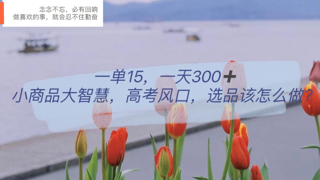 一单15，一天300+，小商品大智慧，高考风口，选品该怎么布局副业基地_极客搞钱_中创网_福缘网_冒泡网_资源整合平台副业基地