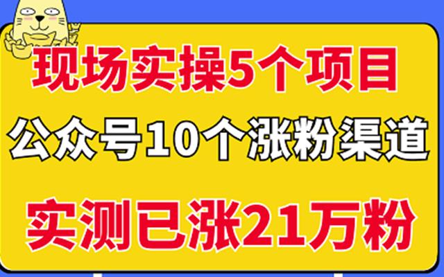 现场实操5个公众号项目，10个涨粉渠道，实测已涨21万粉！副业基地_极客搞钱_中创网_福缘网_冒泡网_资源整合平台副业基地