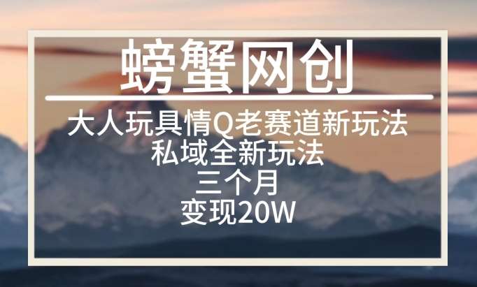 大人玩具情Q用品赛道私域全新玩法，三个月变现20W，老项目新思路【揭秘】副业基地_极客搞钱_中创网_福缘网_冒泡网_资源整合平台副业基地