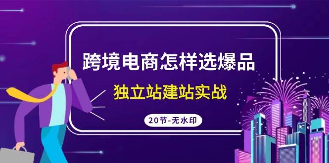 （9369期）跨境电商怎样选爆品，独立站建站实战（20节高清无水印课）副业基地_极客搞钱_中创网_福缘网_冒泡网_资源整合平台副业基地
