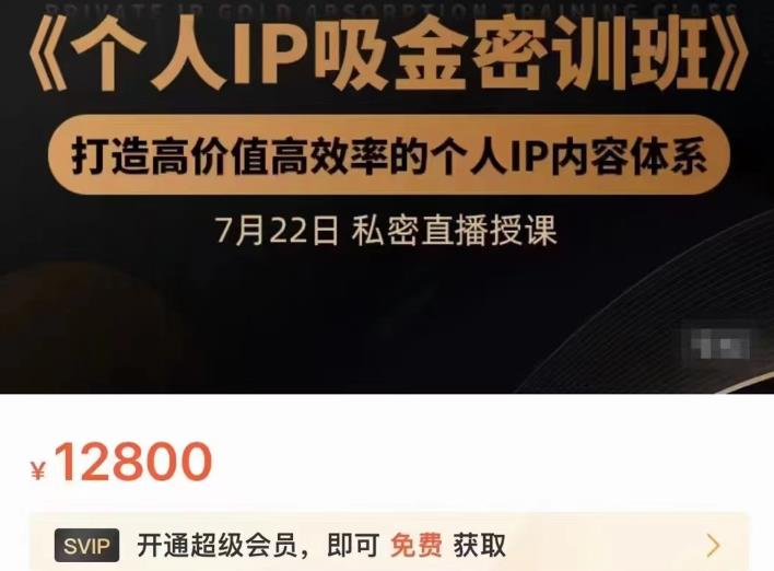 个人IP吸金密训班，打造高价值高效率的个人IP内容体系（价值12800元）副业基地_极客搞钱_中创网_福缘网_冒泡网_资源整合平台副业基地