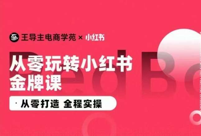 王导主·小红书电商运营实操课，​从零打造  全程实操副业基地_极客搞钱_中创网_福缘网_冒泡网_资源整合平台副业基地