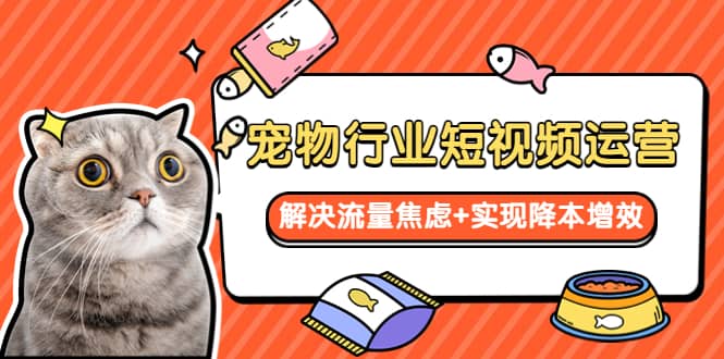 宠物/行业短视频运营 流量增长的一层窗户纸 解决流量焦虑+实现降本增效副业基地_极客搞钱_中创网_福缘网_冒泡网_资源整合平台副业基地