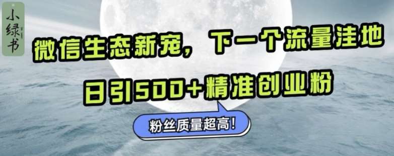 微信生态新宠小绿书：下一个流量洼地，日引500+精准创业粉，粉丝质量超高副业基地_极客搞钱_中创网_福缘网_冒泡网_资源整合平台副业基地