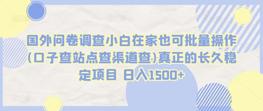 国外问卷调查小白在家也可批量操作(口子查站点查渠道查)真正的长久稳定项目 日入1500+【揭秘】副业基地_极客搞钱_中创网_福缘网_冒泡网_资源整合平台副业基地