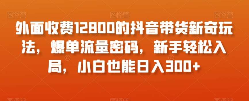 外面收费12800的抖音带货新奇玩法，爆单流量密码，新手轻松入局，小白也能日入300+【揭秘】副业基地_极客搞钱_中创网_福缘网_冒泡网_资源整合平台副业基地