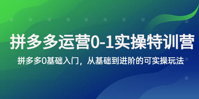 拼多多-运营0-1实操训练营，拼多多0基础入门，从基础到进阶的可实操玩法副业基地_极客搞钱_中创网_福缘网_冒泡网_资源整合平台副业基地