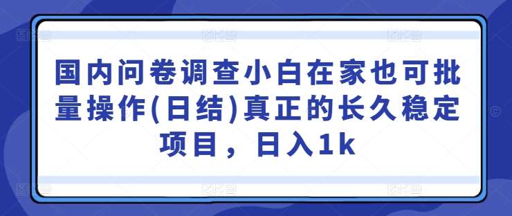国内问卷调查小白在家也可批量操作(日结)真正的长久稳定项目，日入1k【揭秘】副业基地_极客搞钱_中创网_福缘网_冒泡网_资源整合平台副业基地