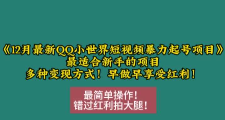 12月最新QQ小世界短视频暴力起号项目，最适合新手的项目，多种变现方式副业基地_极客搞钱_中创网_福缘网_冒泡网_资源整合平台副业基地