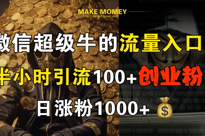 微信超级牛的流量入口，半小时引流100+创业粉，日涨粉1000+副业基地_极客搞钱_中创网_福缘网_冒泡网_资源整合平台副业基地