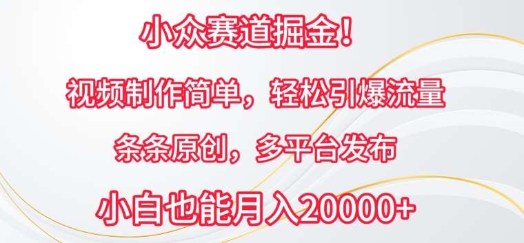 小众赛道掘金，视频制作简单，轻松引爆流量，条条原创，多平台发布【揭秘】副业基地_极客搞钱_中创网_福缘网_冒泡网_资源整合平台副业基地