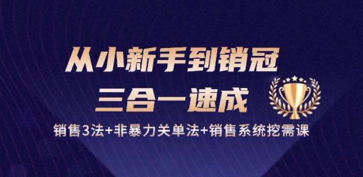从小新手到销冠 三合一速成：销售3法+非暴力关单法+销售系统挖需课 (27节)副业基地_极客搞钱_中创网_福缘网_冒泡网_资源整合平台副业基地