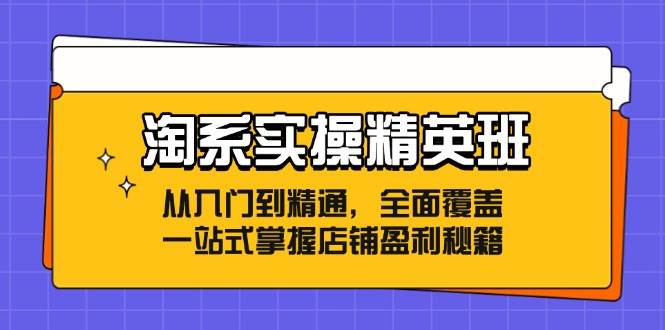 （12276期）淘系实操精英班：从入门到精通，全面覆盖，一站式掌握店铺盈利秘籍副业基地_极客搞钱_中创网_福缘网_冒泡网_资源整合平台副业基地