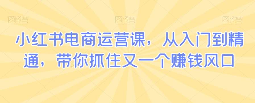 小红书电商运营课，从入门到精通，带你抓住又一个赚钱风口副业基地_极客搞钱_中创网_福缘网_冒泡网_资源整合平台副业基地