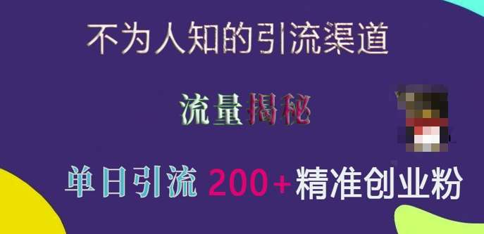 不为人知的引流渠道，流量揭秘，实测单日引流200+精准创业粉【揭秘】副业基地_极客搞钱_中创网_福缘网_冒泡网_资源整合平台副业基地