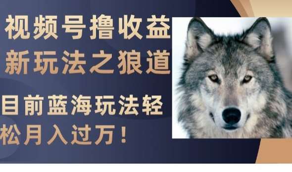视频号撸收益新玩法之狼道，目前蓝海玩法，轻松月入过万【揭秘】副业基地_极客搞钱_中创网_福缘网_冒泡网_资源整合平台副业基地