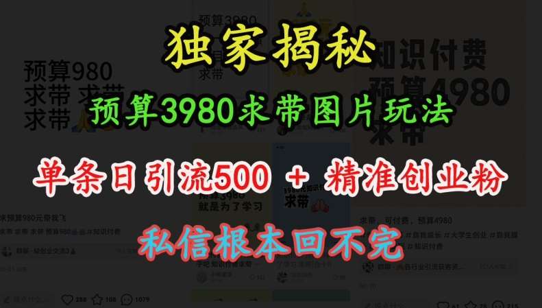 预算3980求带 图片玩法，单条日引流500+精准创业粉，私信根本回不完副业基地_极客搞钱_中创网_福缘网_冒泡网_资源整合平台副业基地