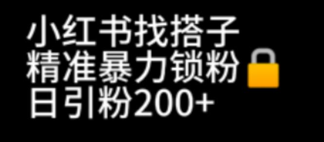小红书找搭子暴力精准锁粉+引流日引200+精准粉副业基地_极客搞钱_中创网_福缘网_冒泡网_资源整合平台副业基地