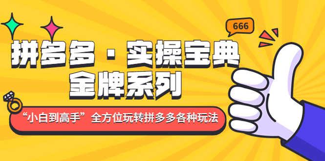 拼多多·实操宝典：金牌系列“小白到高手”带你全方位玩转拼多多各种玩法副业基地_极客搞钱_中创网_福缘网_冒泡网_资源整合平台副业基地