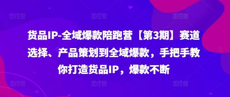 货品IP全域爆款陪跑营【第3期】赛道选择、产品策划到全域爆款，手把手教你打造货品IP，爆款不断副业基地_极客搞钱_中创网_福缘网_冒泡网_资源整合平台副业基地