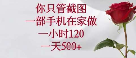 你只管截图，一部手机在家操作，一小时120.一天5张【揭秘】副业基地_极客搞钱_中创网_福缘网_冒泡网_资源整合平台副业基地
