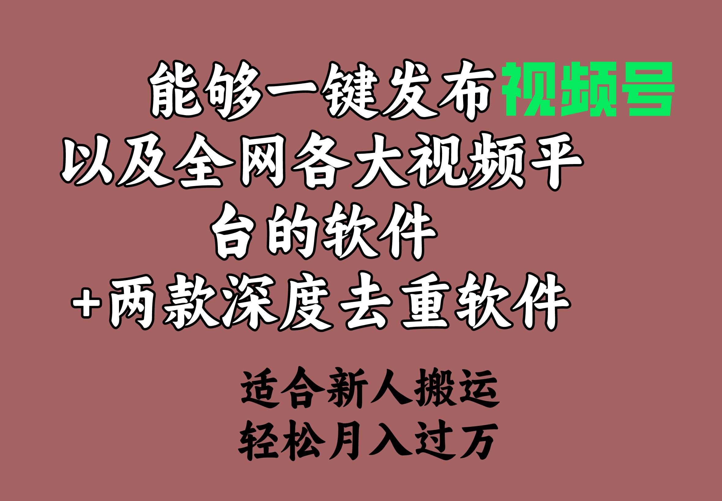 （9319期）能够一键发布视频号以及全网各大视频平台的软件+两款深度去重软件 适合…副业基地_极客搞钱_中创网_福缘网_冒泡网_资源整合平台副业基地