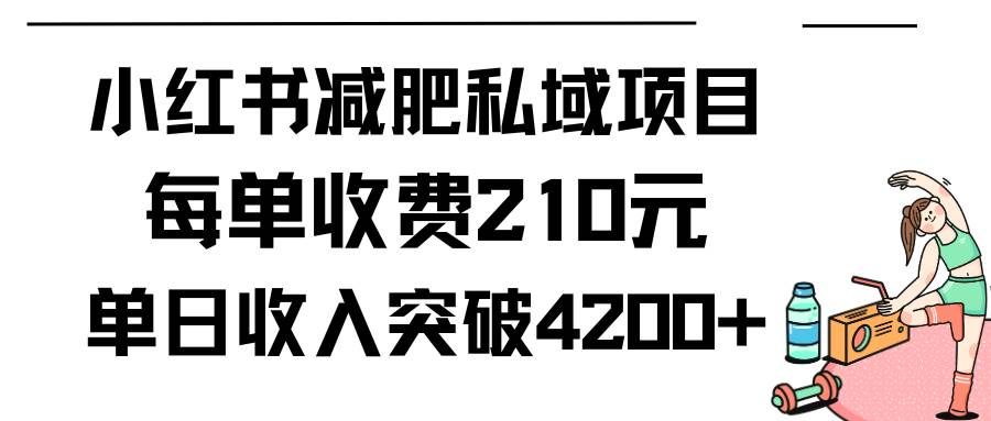 （9466期）小红书减肥私域项目每单收费210元单日成交20单，最高日入4200+副业基地_极客搞钱_中创网_福缘网_冒泡网_资源整合平台副业基地