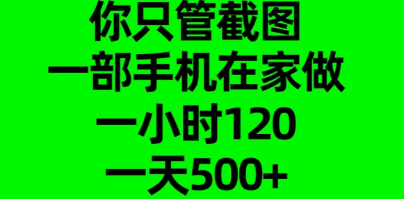 你只管截图，一部手机在家做，一小时120，一天500+副业基地_极客搞钱_中创网_福缘网_冒泡网_资源整合平台副业基地