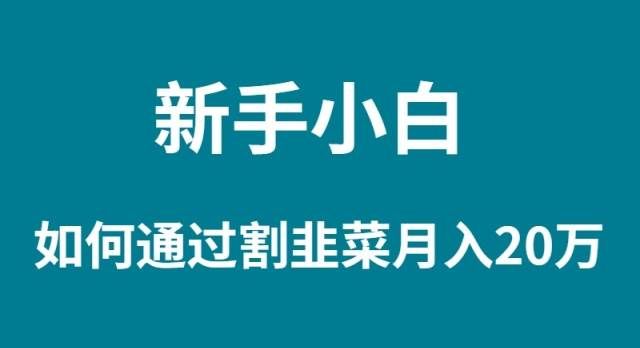 （9308期）新手小白如何通过割韭菜月入 20W副业基地_极客搞钱_中创网_福缘网_冒泡网_资源整合平台副业基地
