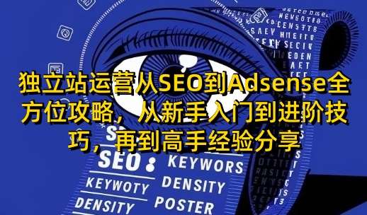 独立站运营从SEO到Adsense全方位攻略，从新手入门到进阶技巧，再到高手经验分享副业基地_极客搞钱_中创网_福缘网_冒泡网_资源整合平台副业基地