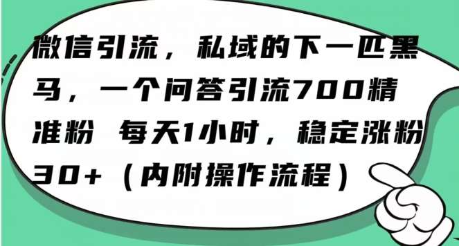 怎么搞精准创业粉？微信新赛道，每天一小时，利用Ai一个问答日引100精准粉副业基地_极客搞钱_中创网_福缘网_冒泡网_资源整合平台副业基地