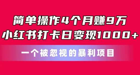 简单操作4个月赚9w，小红书打卡日变现1k，一个被忽视的暴力项目【揭秘】副业基地_极客搞钱_中创网_福缘网_冒泡网_资源整合平台副业基地