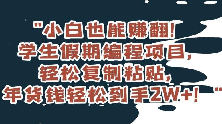 小白也能赚翻！学生假期编程项目，轻松复制粘贴，年货钱轻松到手2W+【揭秘】副业基地_极客搞钱_中创网_福缘网_冒泡网_资源整合平台副业基地