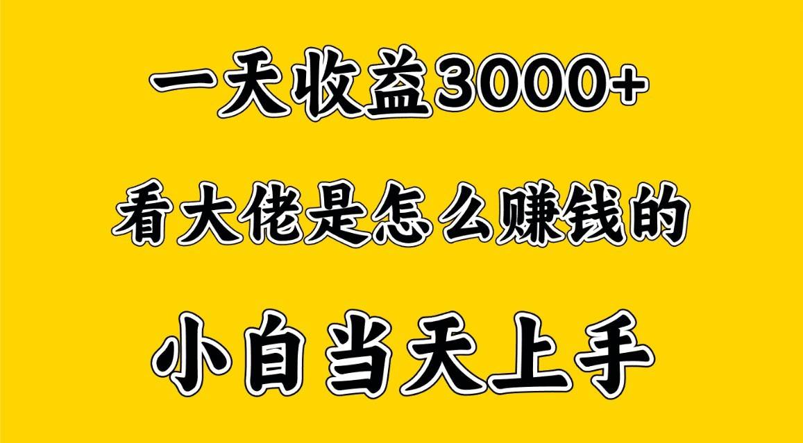 一天赚3000多，大佬是这样赚到钱的，小白当天上手，穷人翻身项目副业基地_极客搞钱_中创网_福缘网_冒泡网_资源整合平台副业基地