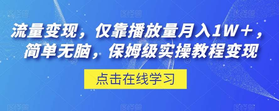 流量变现，仅靠播放量月入1W＋，简单无脑，保姆级实操教程【揭秘】副业基地_极客搞钱_中创网_福缘网_冒泡网_资源整合平台副业基地