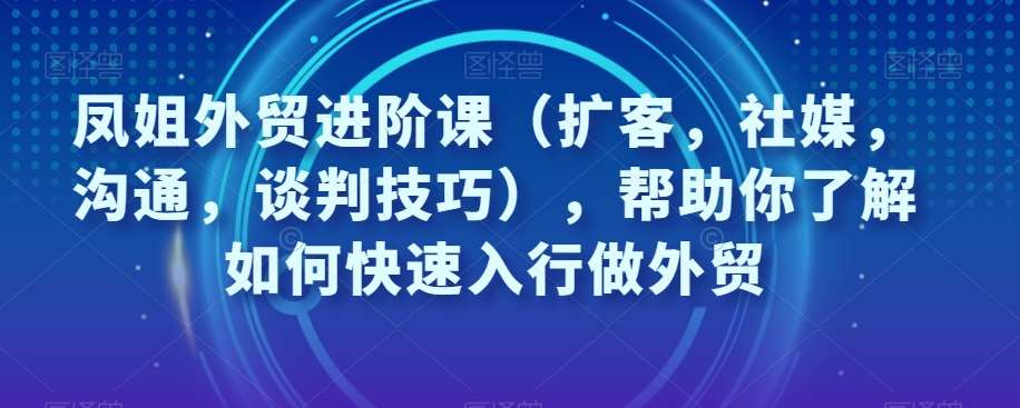 凤姐外贸进阶课（扩客，社媒，沟通，谈判技巧），帮助你了解如何快速入行做外贸副业基地_极客搞钱_中创网_福缘网_冒泡网_资源整合平台副业基地