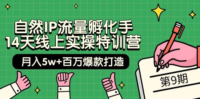 （9881期）自然IP流量孵化手 14天线上实操特训营【第9期】月入5w+百万爆款打造 (74节)副业基地_极客搞钱_中创网_福缘网_冒泡网_资源整合平台副业基地