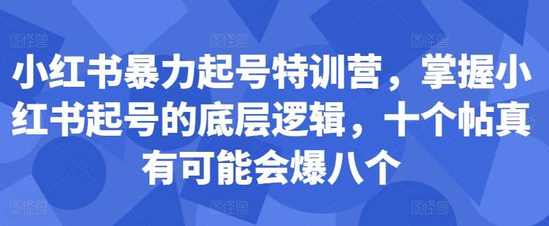 小红书暴力起号特训营，掌握小红书起号的底层逻辑，十个帖真有可能会爆八个副业基地_极客搞钱_中创网_福缘网_冒泡网_资源整合平台副业基地