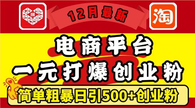 12月最新：电商平台1元打爆创业粉，简单粗暴日引500+精准创业粉，轻松月入过W【揭秘】副业基地_极客搞钱_中创网_福缘网_冒泡网_资源整合平台副业基地