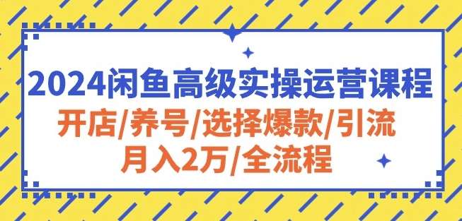 2024闲鱼高级实操运营课程：开店/养号/选择爆款/引流/月入2万/全流程副业基地_极客搞钱_中创网_福缘网_冒泡网_资源整合平台副业基地