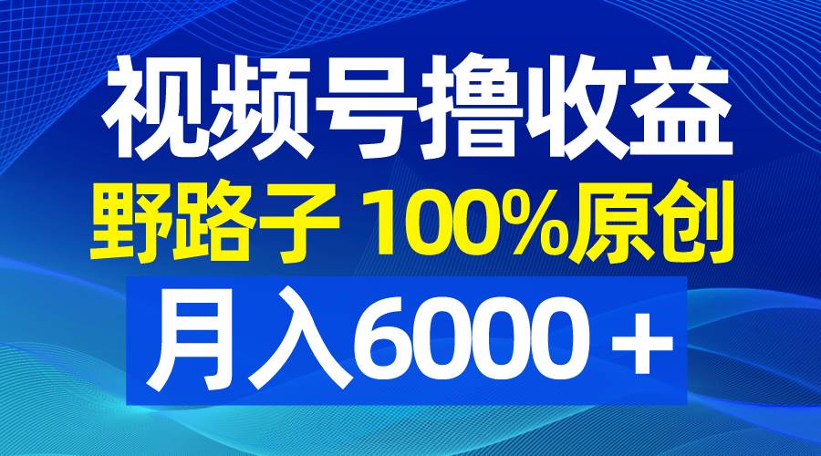 （8679期）视频号野路子撸收益，100%原创，条条爆款，月入6000＋副业基地_极客搞钱_中创网_福缘网_冒泡网_资源整合平台副业基地