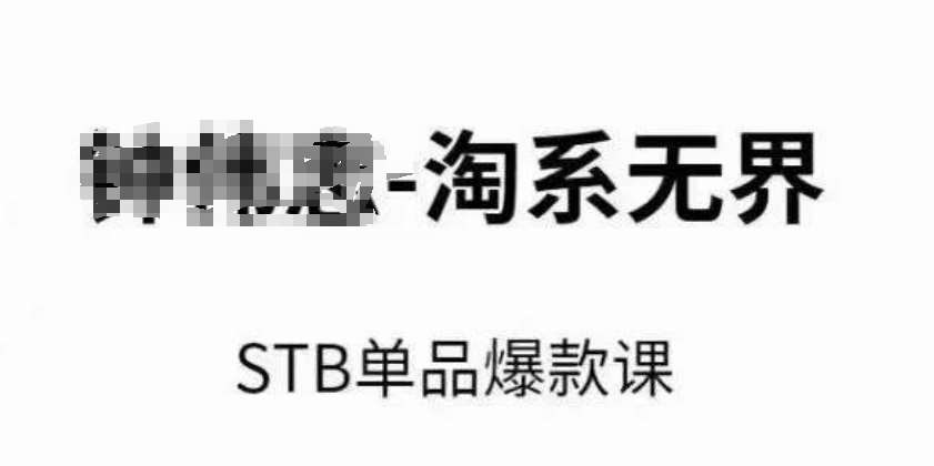 淘系无界STB单品爆款课（2024），付费带动免费的核心逻辑，万相台无界关键词推广/精准人群的核心副业基地_极客搞钱_中创网_福缘网_冒泡网_资源整合平台副业基地