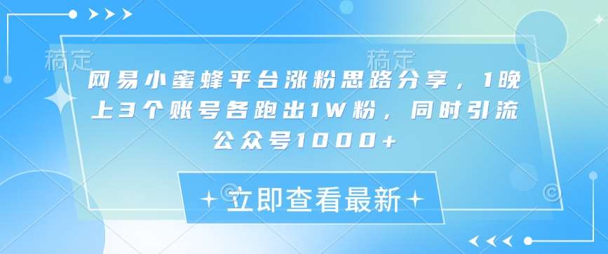 网易小蜜蜂平台涨粉思路分享，1晚上3个账号各跑出1W粉，同时引流公众号1000+副业基地_极客搞钱_中创网_福缘网_冒泡网_资源整合平台副业基地